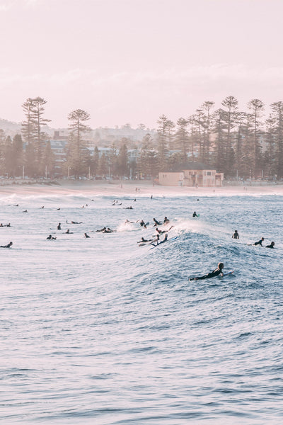 Manly In May Beach Photography